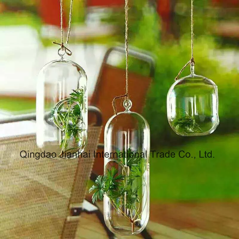 Simple Clear Glass Plant Vase Tableware for House