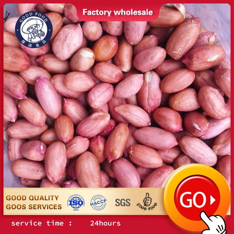 Customized Red Peanut, Blanched Peanut Kernels, Bold Peanuts Blanched Peanuts Raw Kernel Peanuts