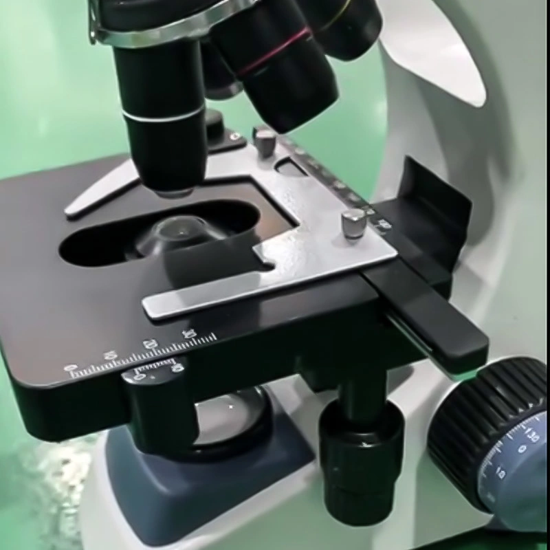 Microscopio Biológico digital multifunción giratorio de 360 grados BioBase para laboratorio