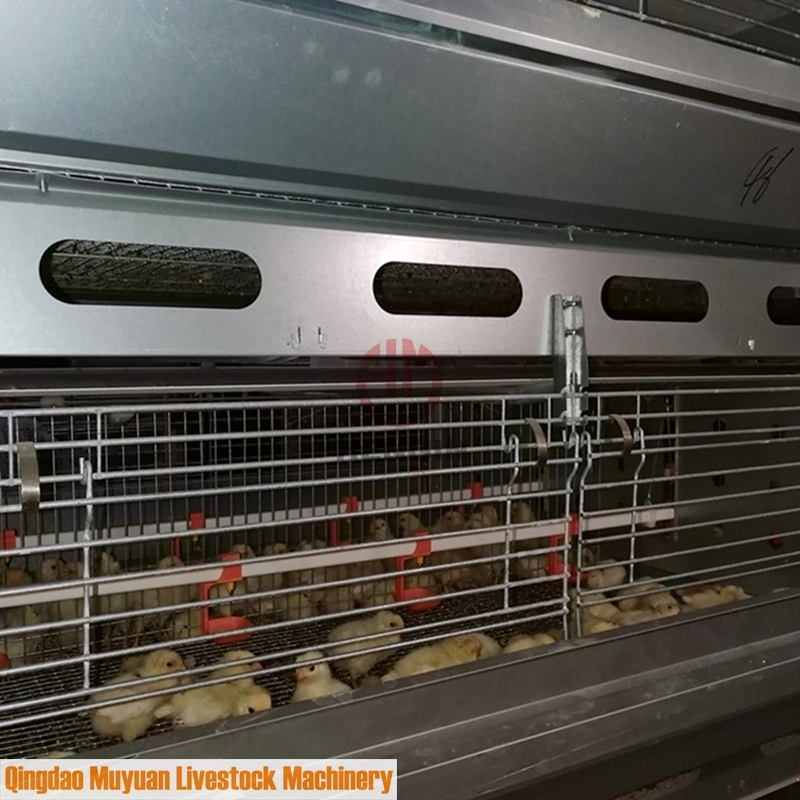 Poultry Farm Layer Pullet Coop of Baby Chicken Livestock Machinery