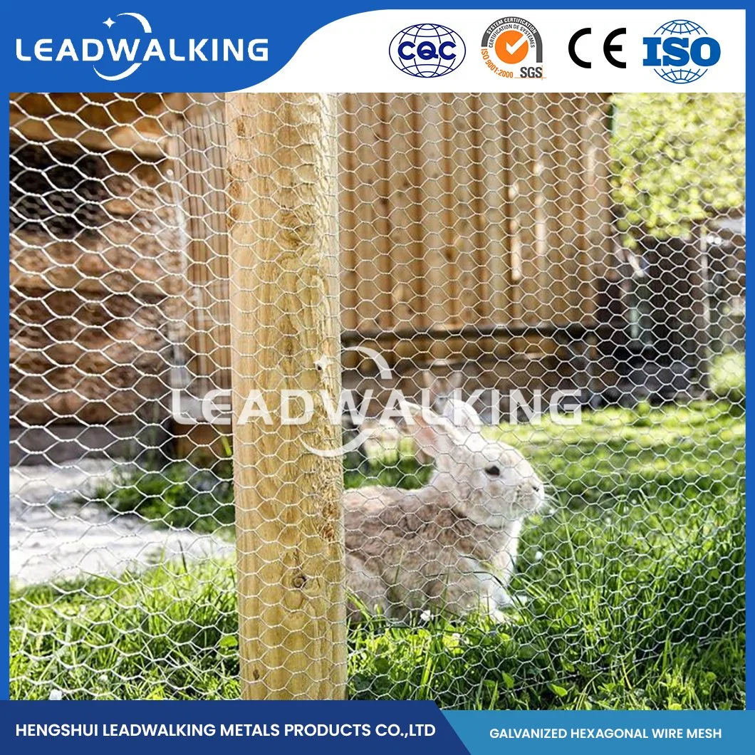 Leadwalking China Woven Type 304 316L Stainless Steel Wire Mesh Manufacturers Copper Wire 50-200cm Height Hexagonal Plastic Coated Steel Wire Hexagonal Net