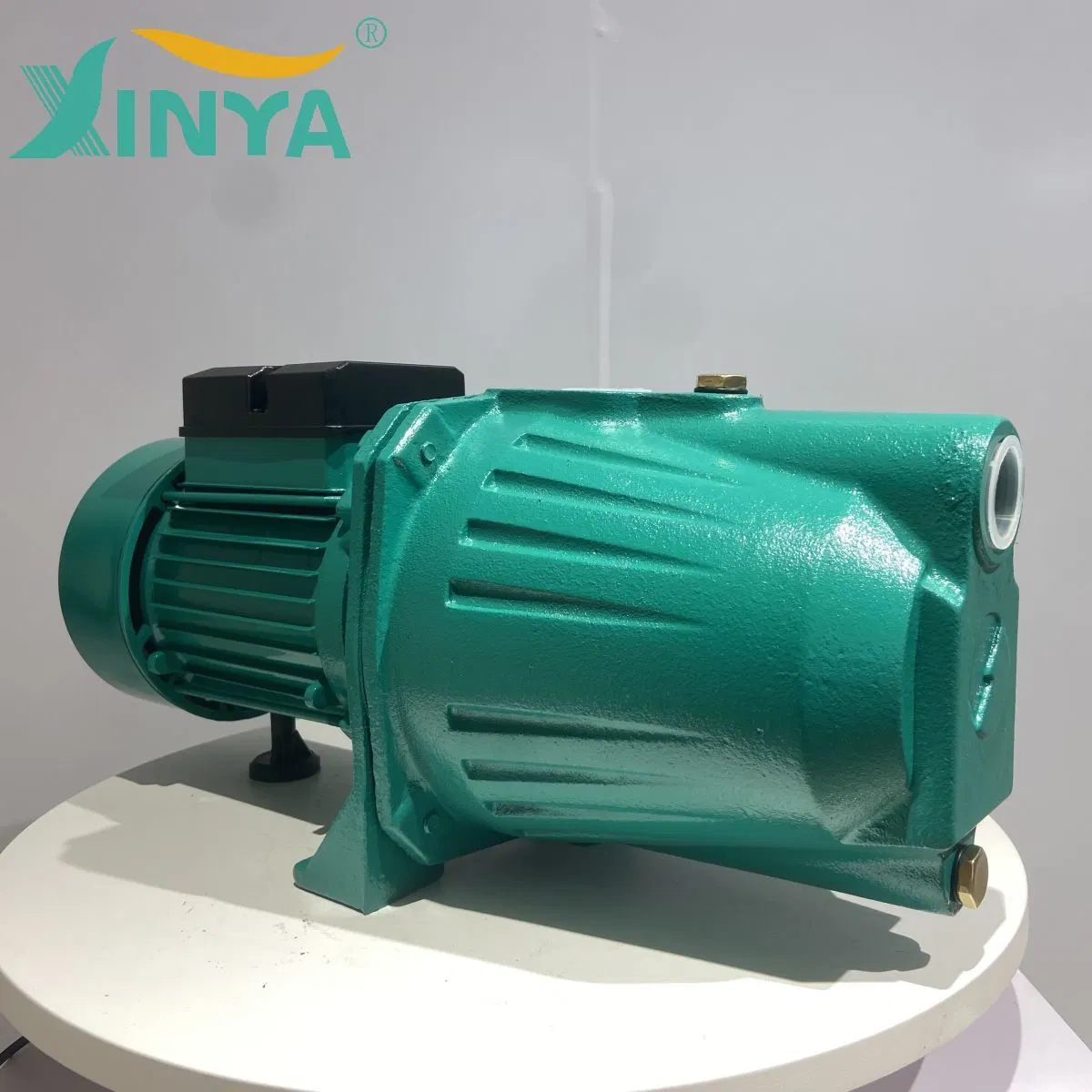 Xinya 2.0HP 1.5kw 220VV 110V Self-Priming Jet Water Pump with Thermal Protector (JET200)