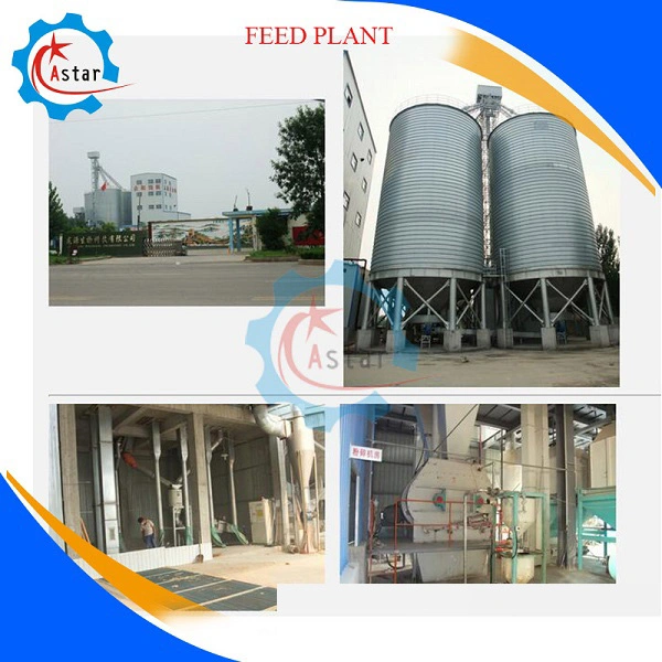 China Complete Animal Poultry Cattle Pet Chicken Cow Goat Horse Food Plant