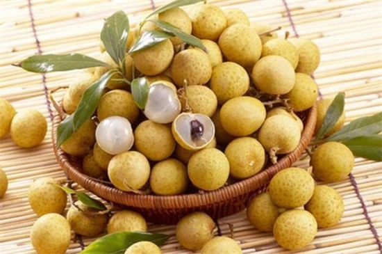 New Season Good Quality Cheap Price 567g Canned Longan Fruit in Syrup Wholesale/Supplierr