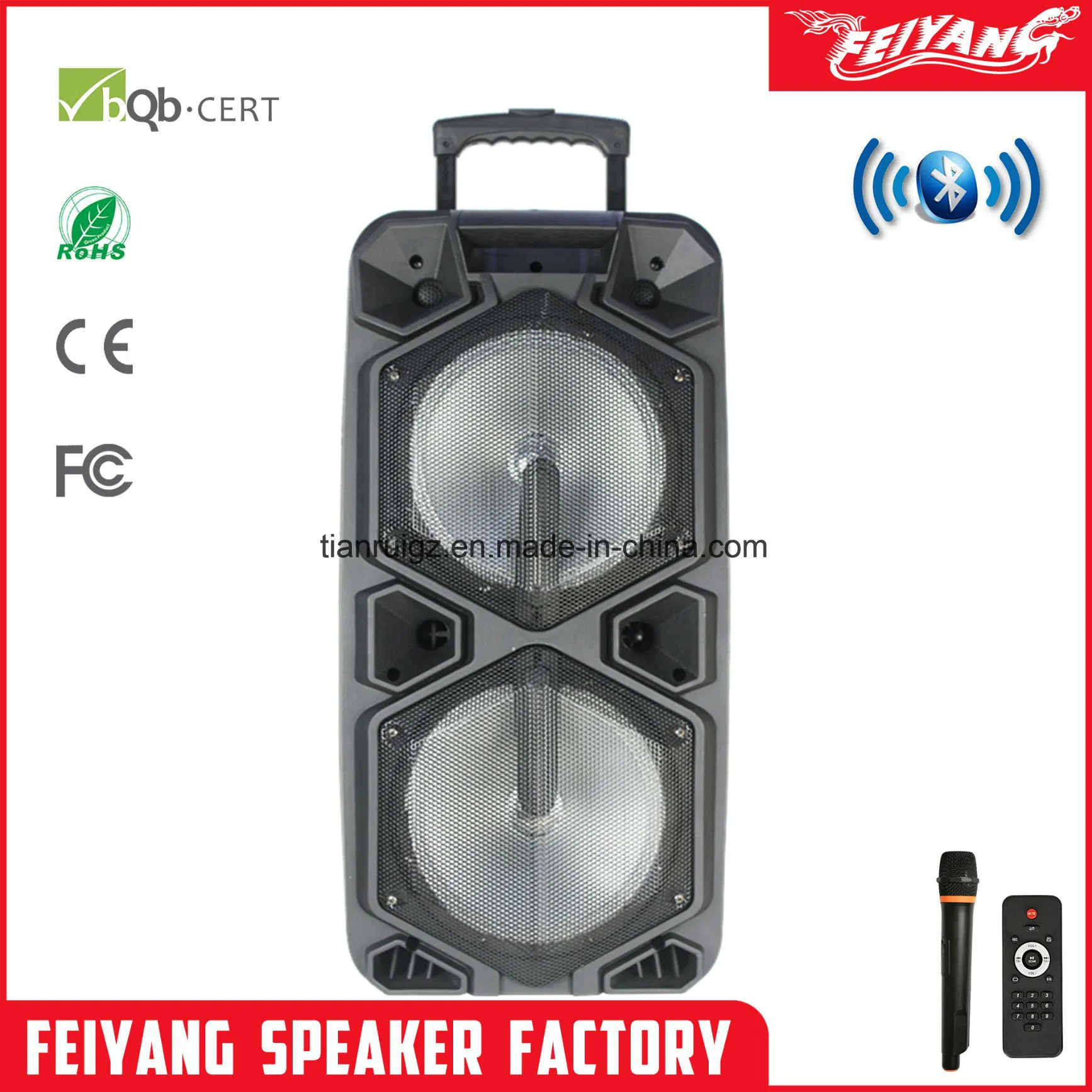 Feiyang Double 10 Inch Big Power Rechargeable Battery Trolley Speaker