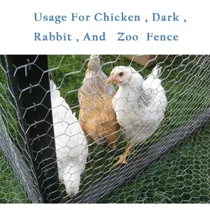 Chicken Fencing Wire Netting 3/4 Inches Hexagonal Galvanized Steel Wire Mesh