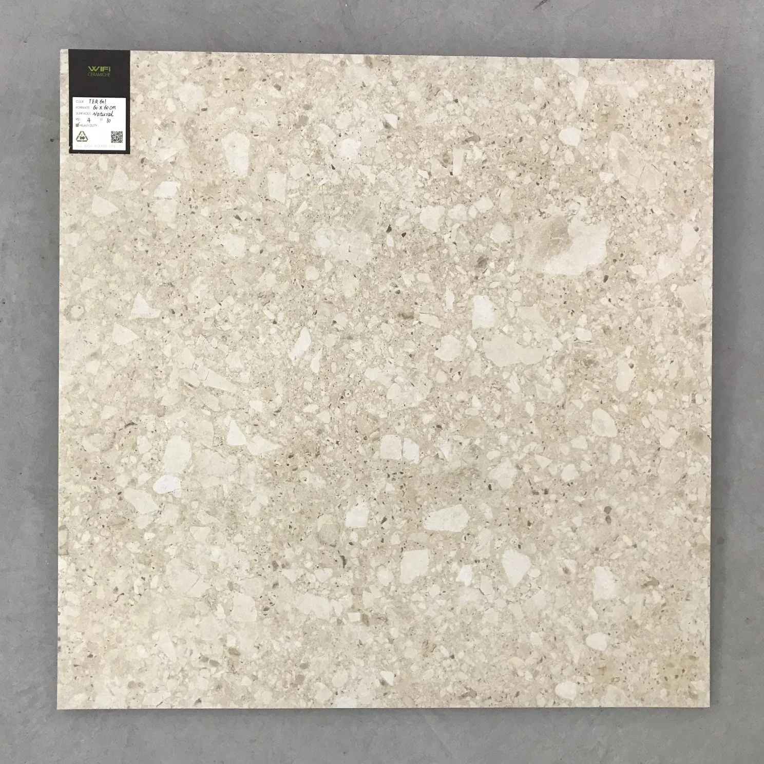 Natural/Lappato 600*600mm Porcelain Floor Ceramic Tile (TER601)