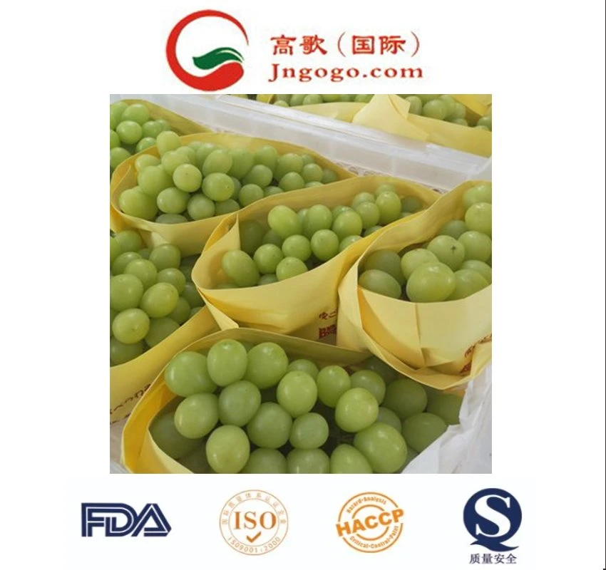 High Sweet Fresh Shine Muscat Grapes Natural Seedless Green Grapes