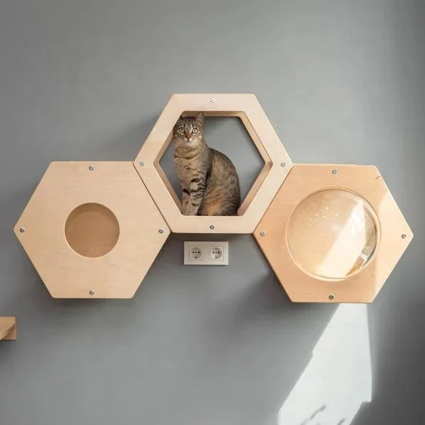 Nuevo diseño Regalo para mascotas Estante para gatos en la pared Cama para gatos Casa para gatos