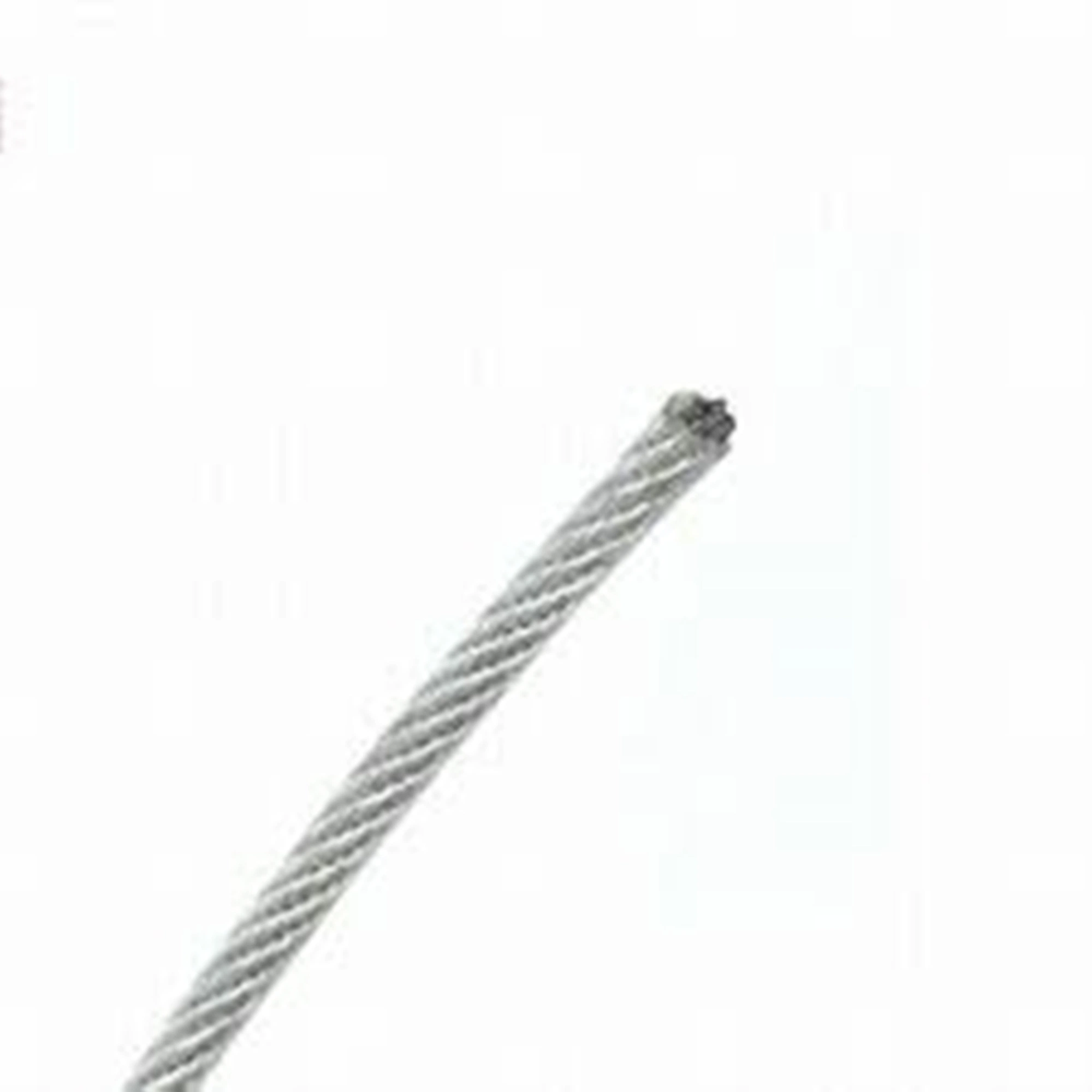 AISI 316 304 7X7 Stainless Steel Wire Rope Made for Invisible Protective Rope with High Tensile and Quality