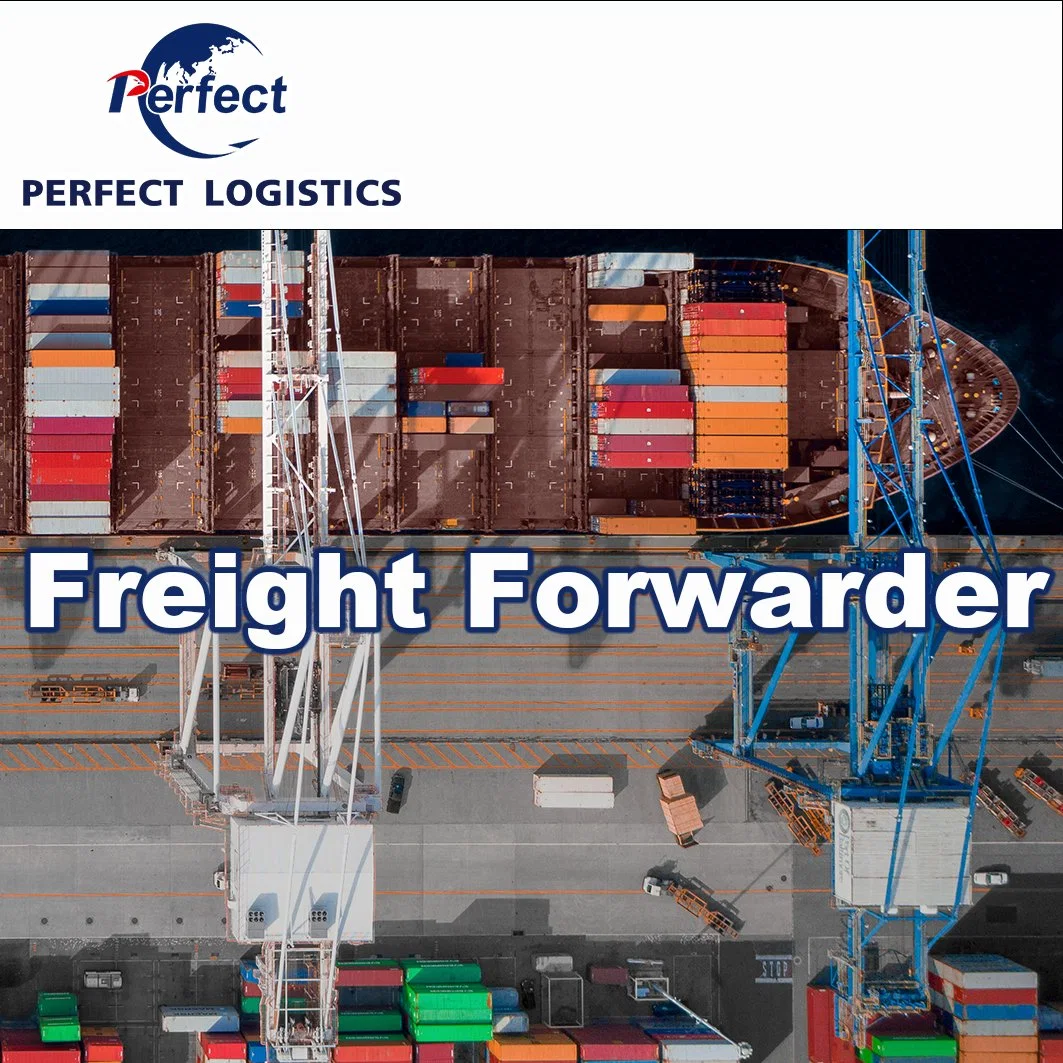 Lowest Price Freight Forwarder DDP Sea Freight Shipping China to UK/ Germany/ France/ Spain/ Italy