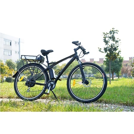 En15194 Aprroved 36V 250W Cheap City Green Motorized Electric Bike