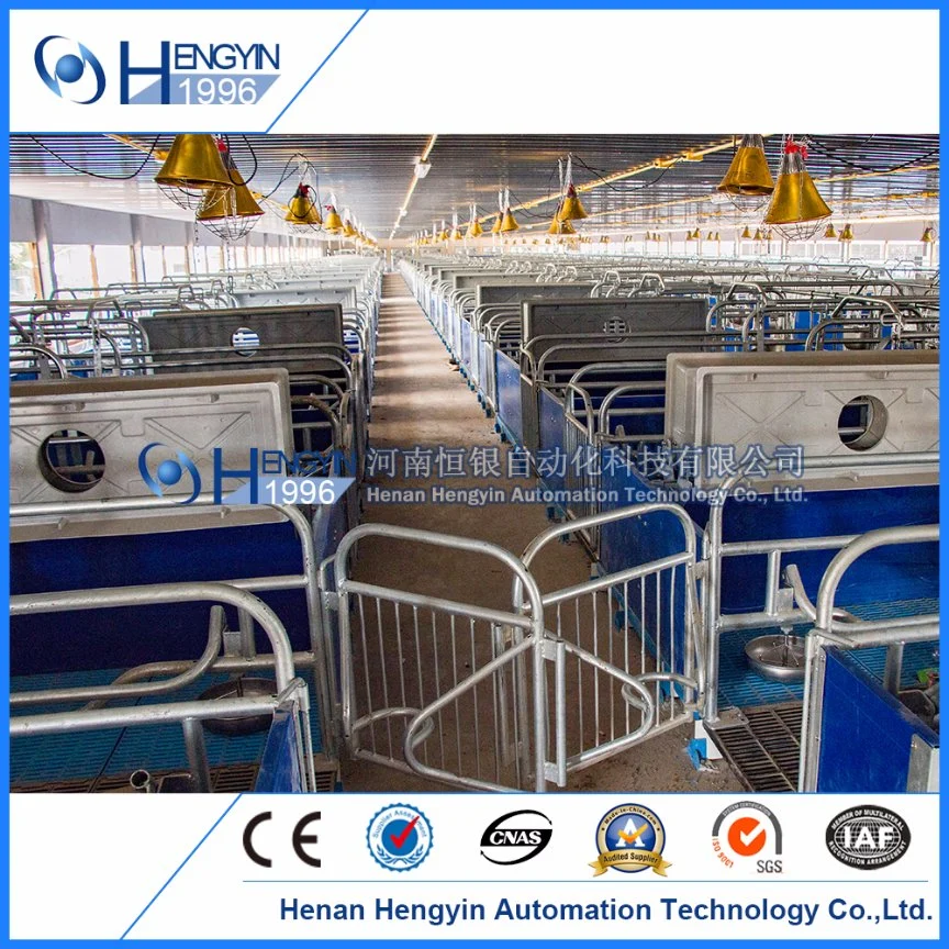 Hengyin Pig Equipment Maternity Cage Durable Farrowing Crate for Sow