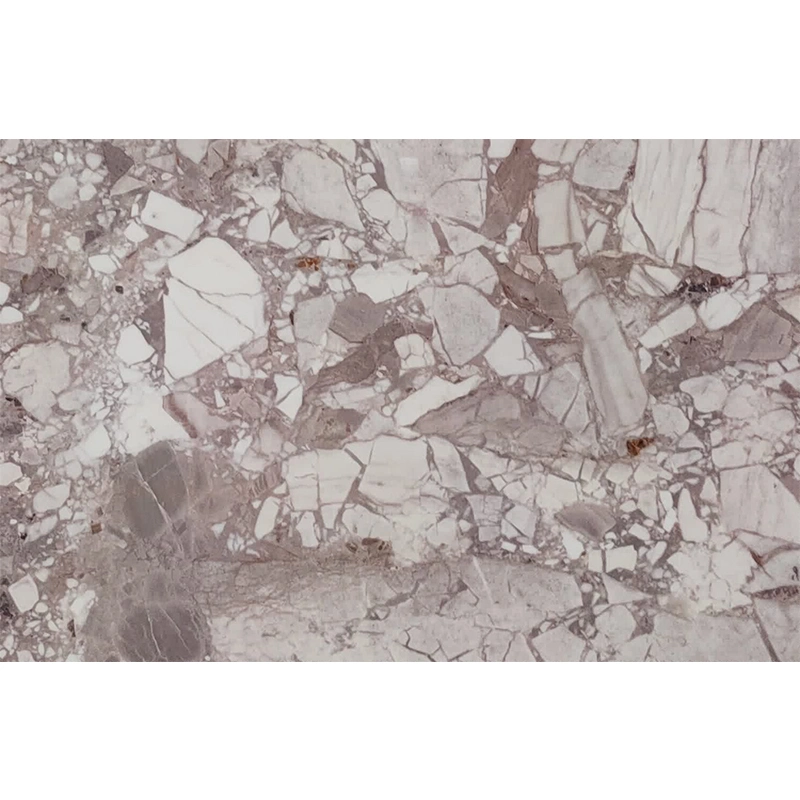 Natural Stone Prosperity Marble Fossil Grey Marble for Floor Wall Counter Tops Stairs Sills Column Interior Decoration Marble Slab