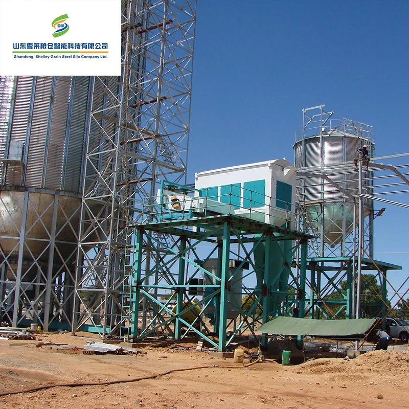 Shelley silo de maíz de alta humedad de la torre de alimentación de acero de China Proveedores de silos de chapa de acero atornillado general de almacenamiento de grano de arroz cáscara inferior de la tolva de Silo silo