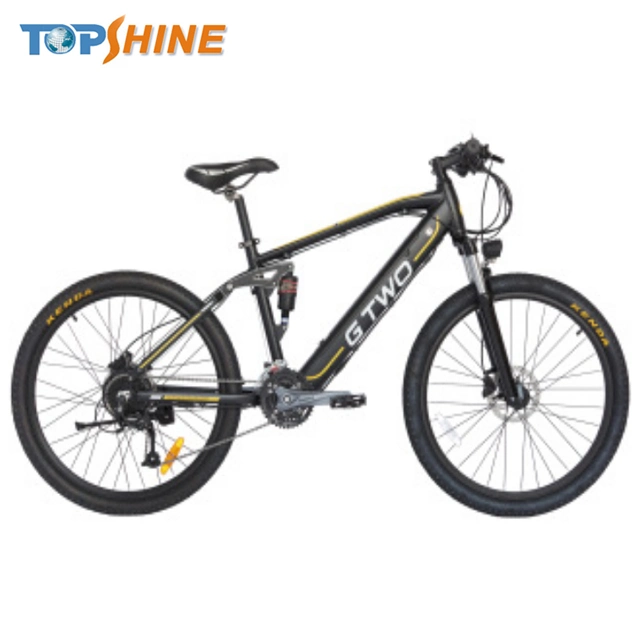 CE Approved Mountain Electric Bicycle with Removable Lithium Battery and GPS Music Odometer