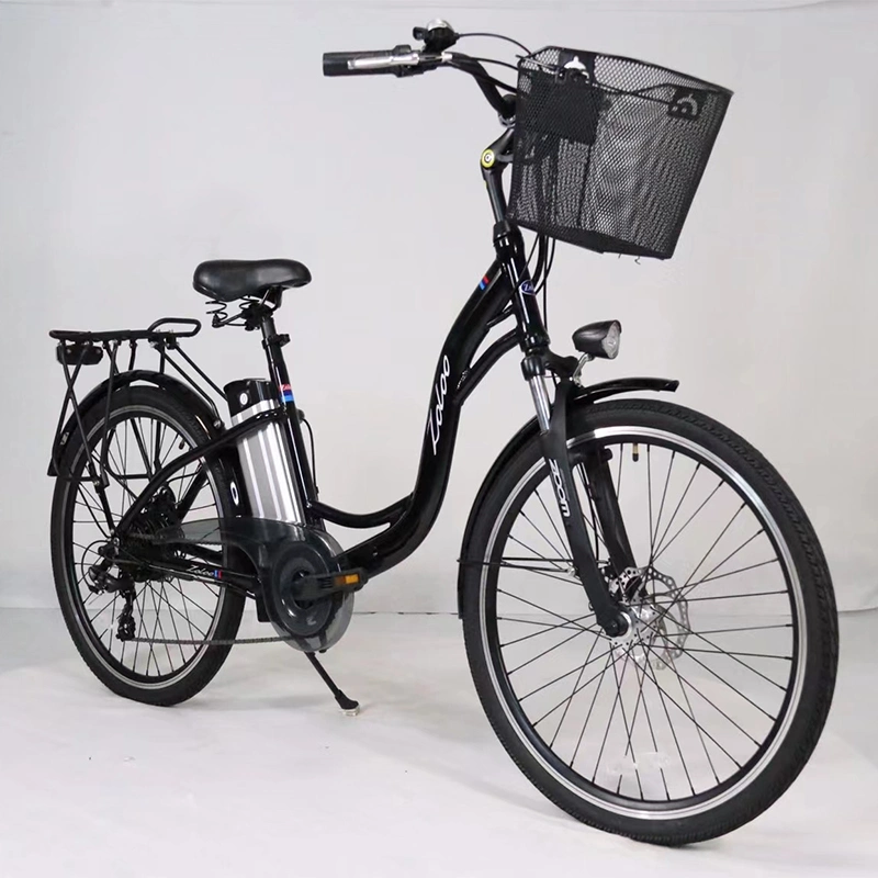 350W Classical Electric Bike with Lithium Battery