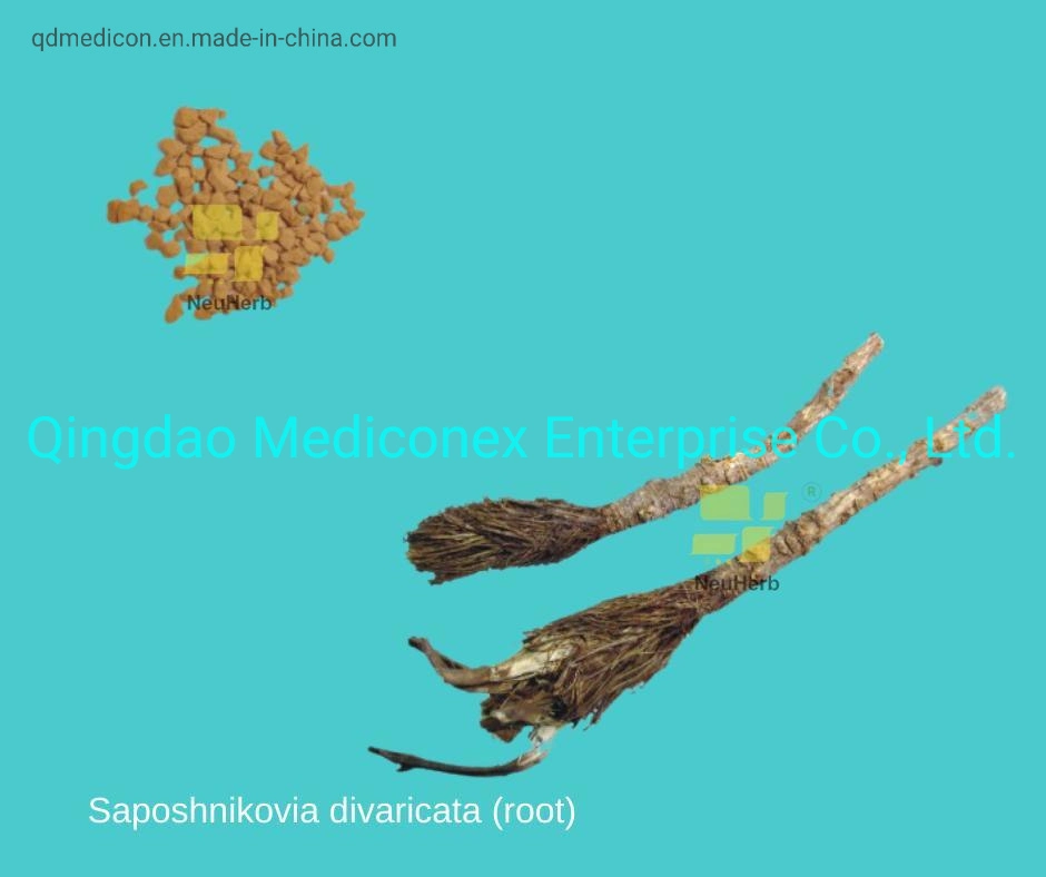 Saposhnikovia Divaricata (root) Traditional Chinese Herbal Medicine Crude Natural Herb Virus Infection