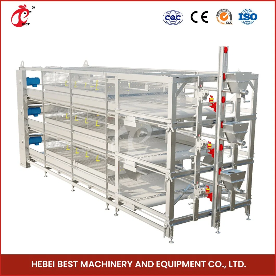 Bestchickencage China Plastic Chicken House Suppliers H Frame Automatic Boriler Cages OEM Custom Felt Material Chicken Cage Manufacturer