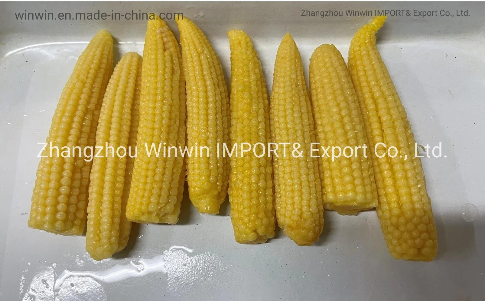 Canned Baby Corn Whole Spear in Brine Good Price