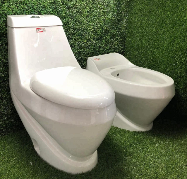 Sairi Hot Sale moderne encastré double WC WC Mesures sanitaires