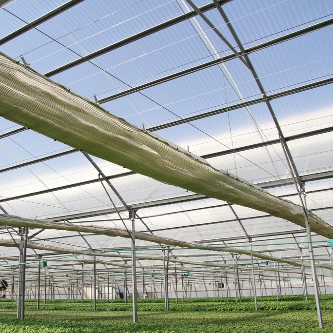 Great Performance Venlo PC/Glass Hydroponic Greenhouse with Ventilation System