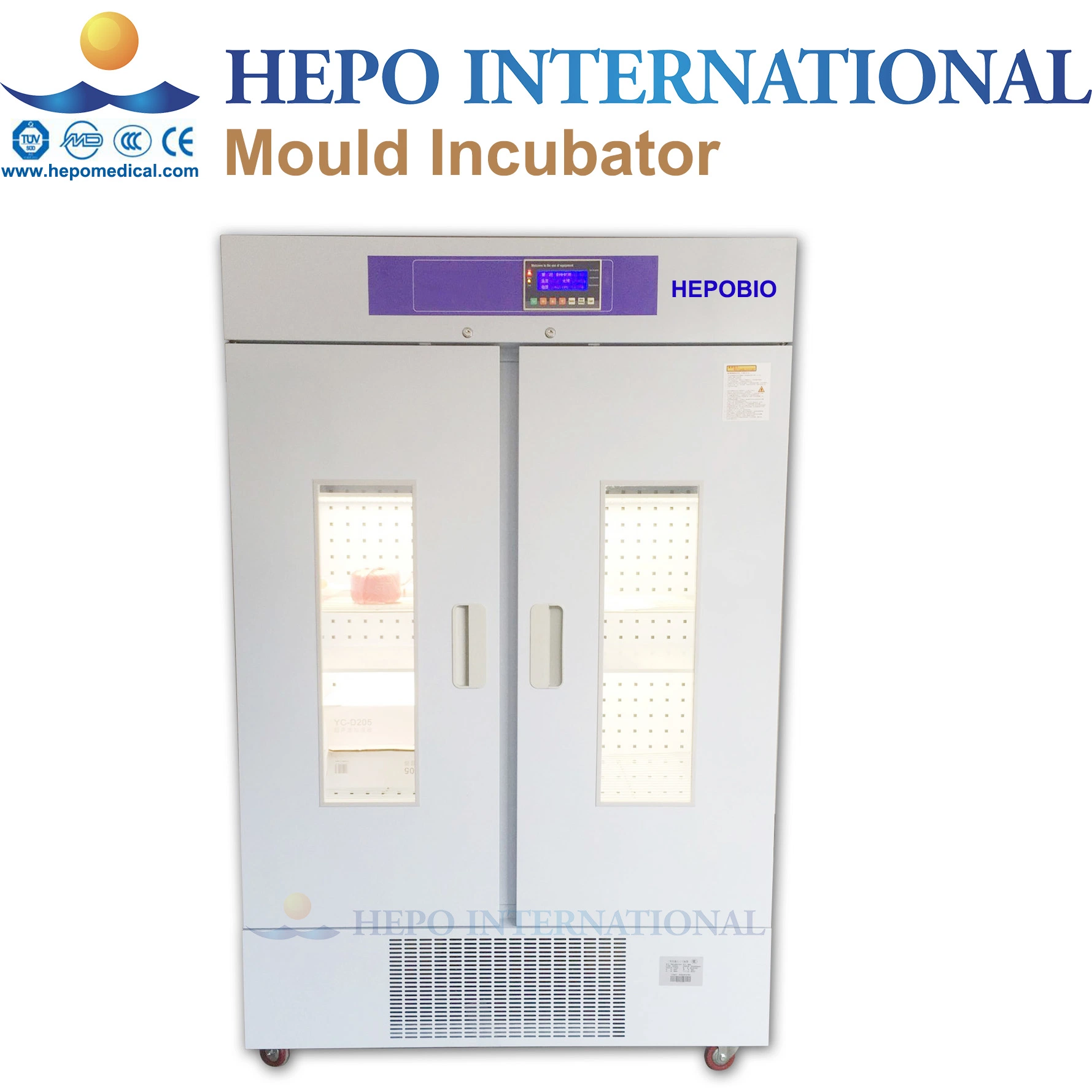 Laboratory Constant Temperature Humidity Mould Cultivation Incubator