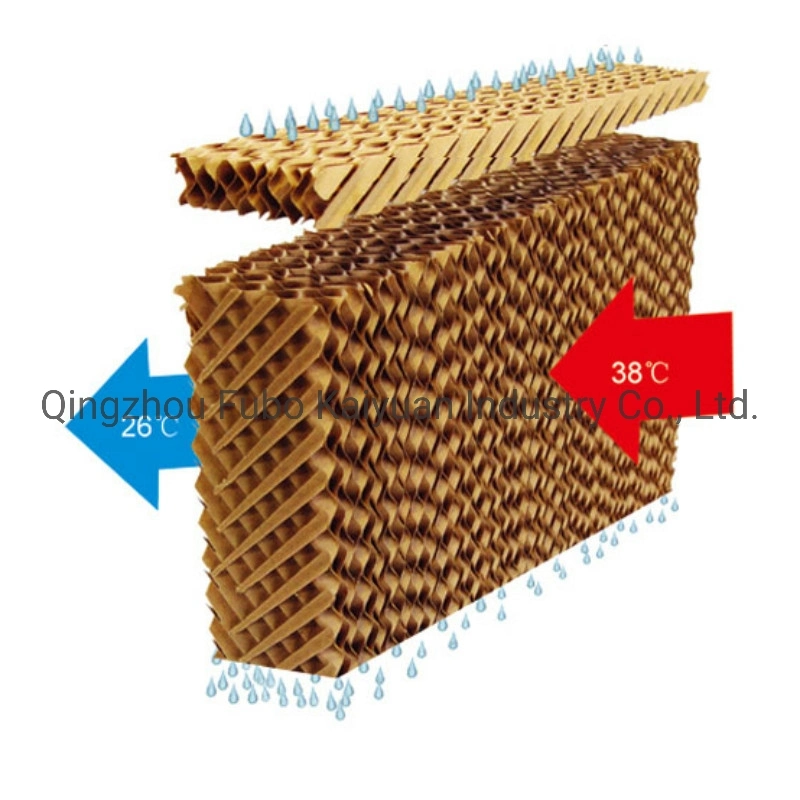 Agricultural Evaporative Cooling Air Cooling System in Greenhouse/Poultry Equipment