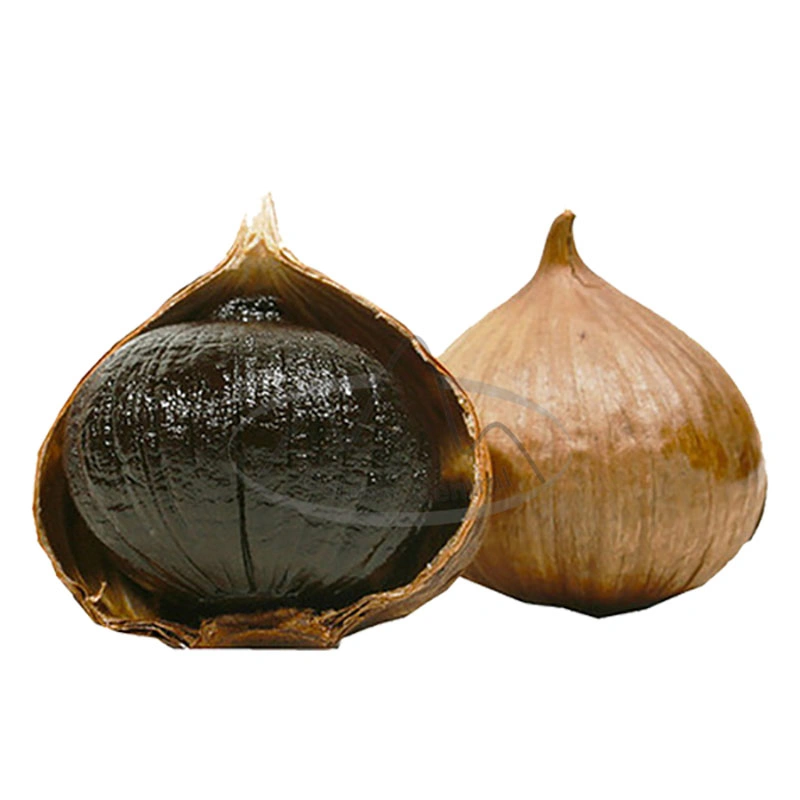 Grade a Quality Fermented Garlic Solo Black Garlic