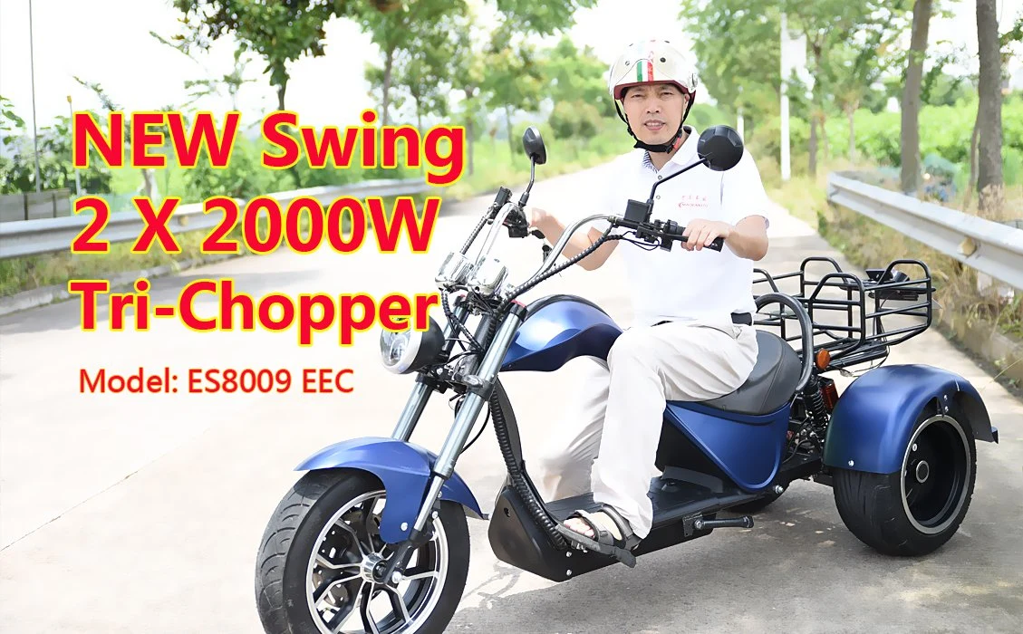 EEC Adult 3 Three Wheel Adult E Electric Trike Scooter Motorcycle