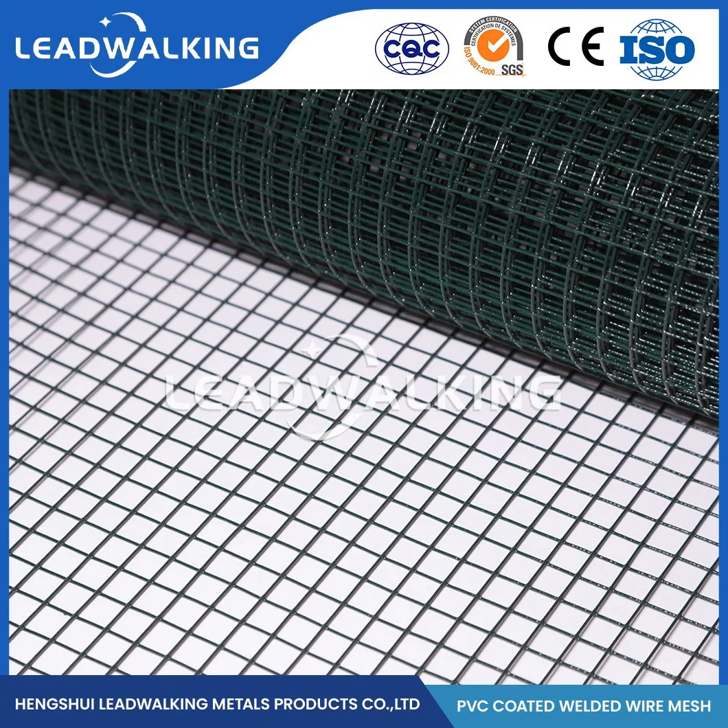 Leadwalking Galvanized Welded Wire Mesh Panel Factory Ss Steel Plastic Coated Welded Mesh China Welded Wire Mesh with Green PVC Coating for Plant Support