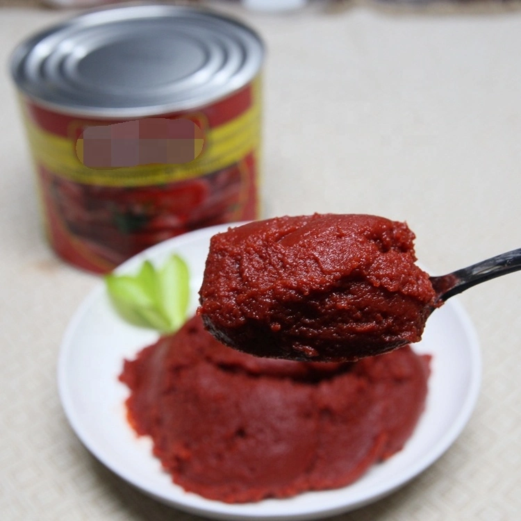 Halal Canned Tomato Paste 22-24% Brix Tomato Ketchup and Tomato Sauce