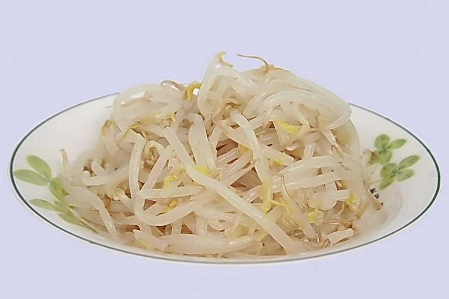 Muti Specification Organic Wholesale/Supplier Canned Green Mung Bean Sprouts in Water in Brine