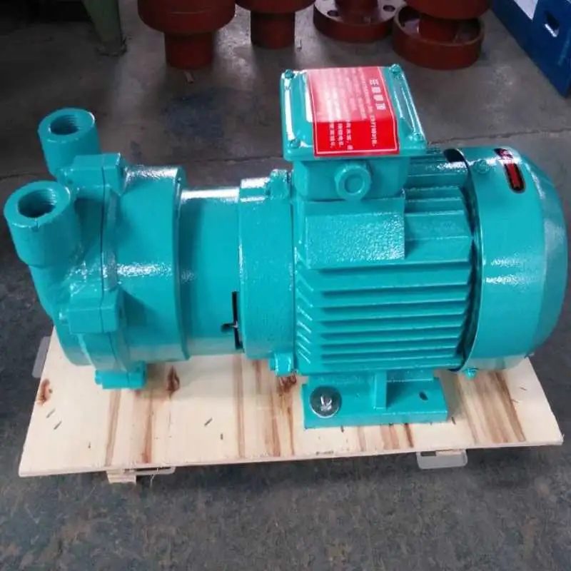 2BV-2bvc Liquid Ring Vacuum Pump with Compressor Motor Vacuum Filtration Pump in China