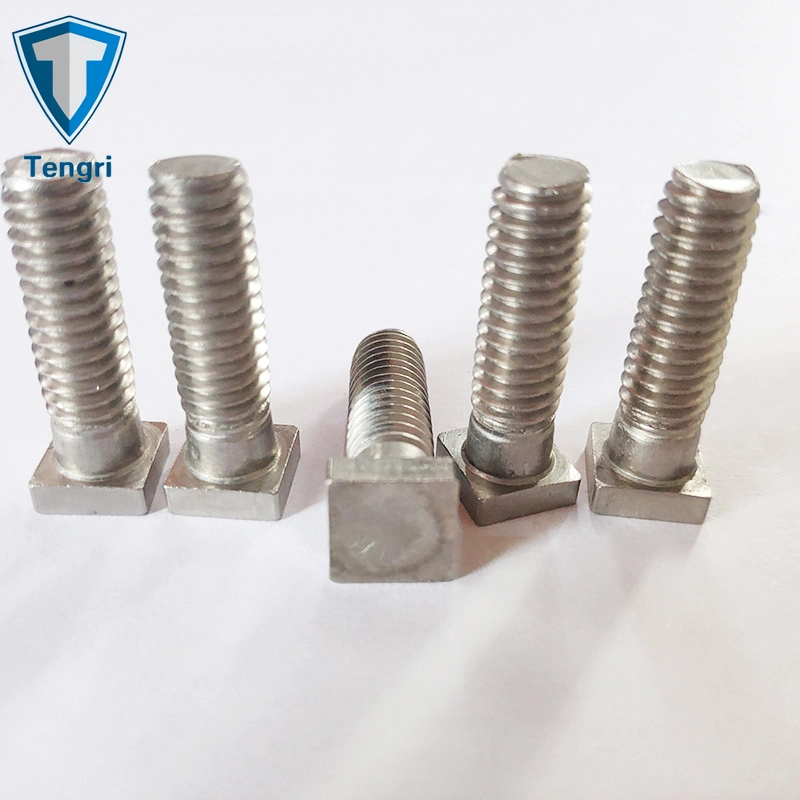 Special Fastener Square Head T Bolt Hanger Bolt Hand Bolt Stainless Steel