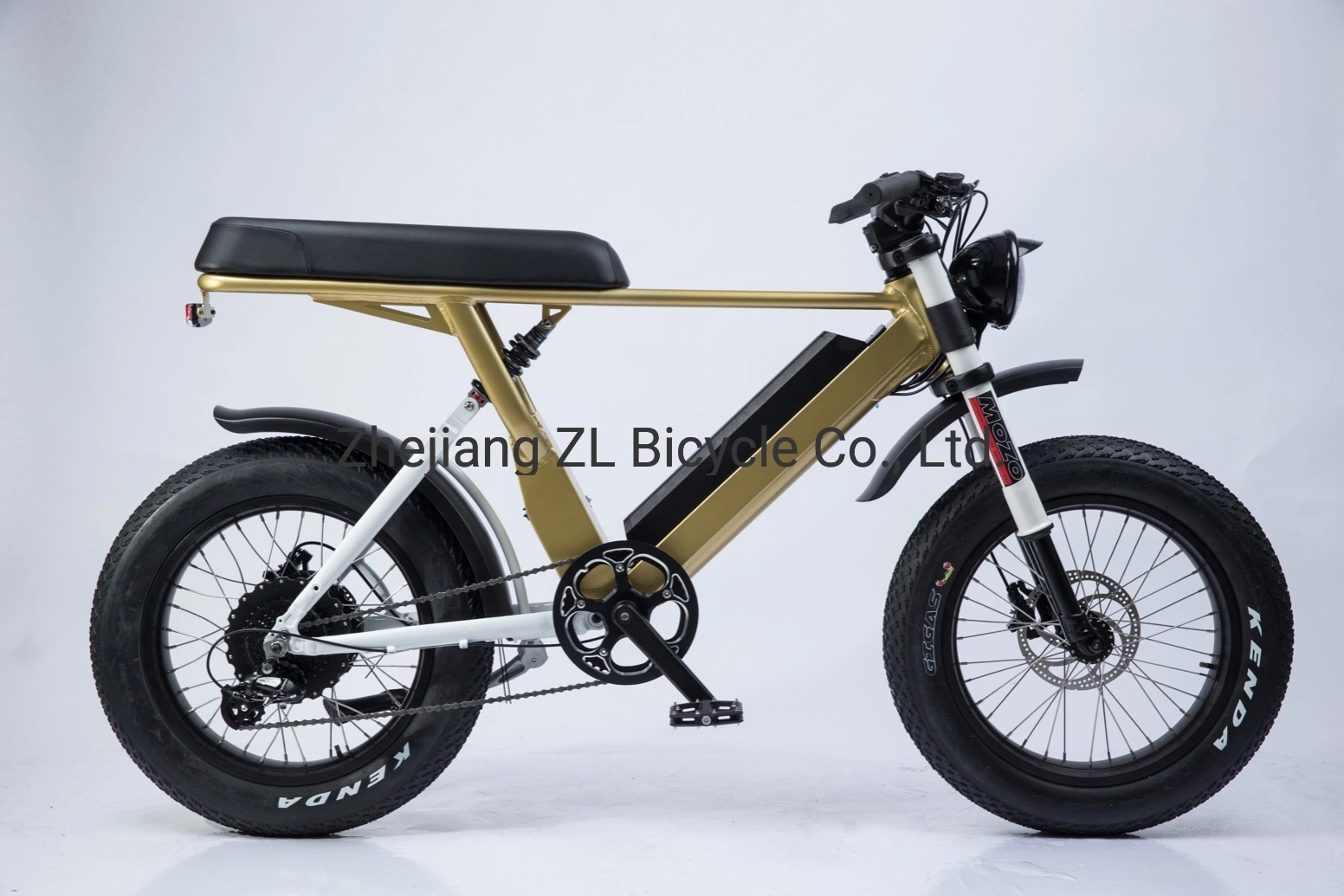 Aluminum Big Power 1000W Motorcycle Style Electric Bike with 20*4.0 Fat Tire