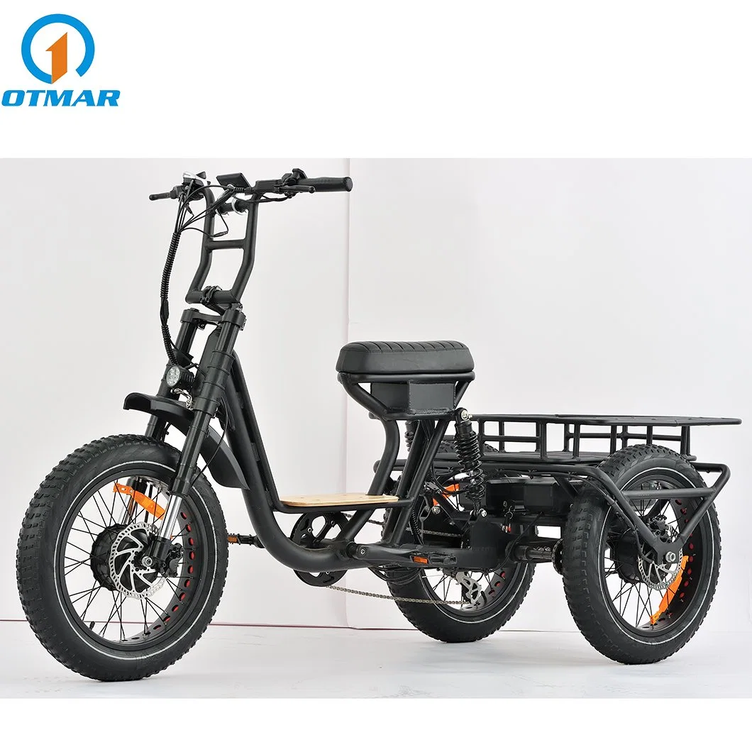 Nouveau style 3 roues motrices moteur 20 pouces tout-cargo électrique Tricycle Fat tire trois roues moto haute puissance adulte double Batterie suspension complète E Trike Wholesale/Supplier