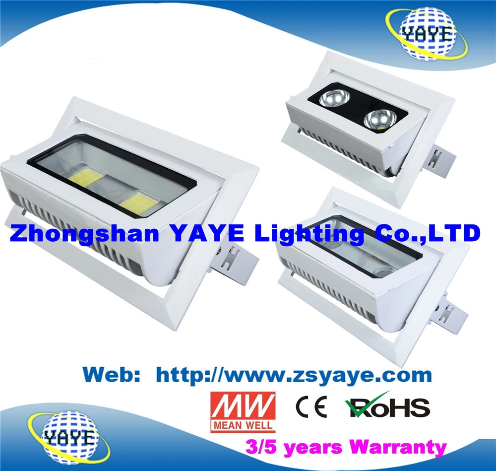 Yaye 18 أفضل جهاز عرض LED طراز COB بقدرة 30 واط معتمد من CE/RoHS Sell / مصباح LED بقوة 30 واط بإضاءة LED /COB بقوة 30 واط بإضاءة LED