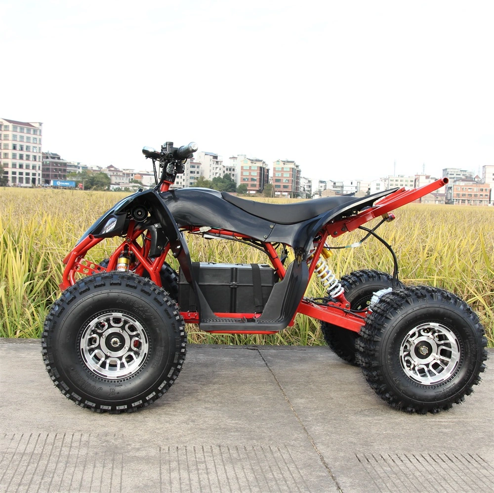 Fabricants personnalisé Moyen 1500W 1800W Beach Endless ATV