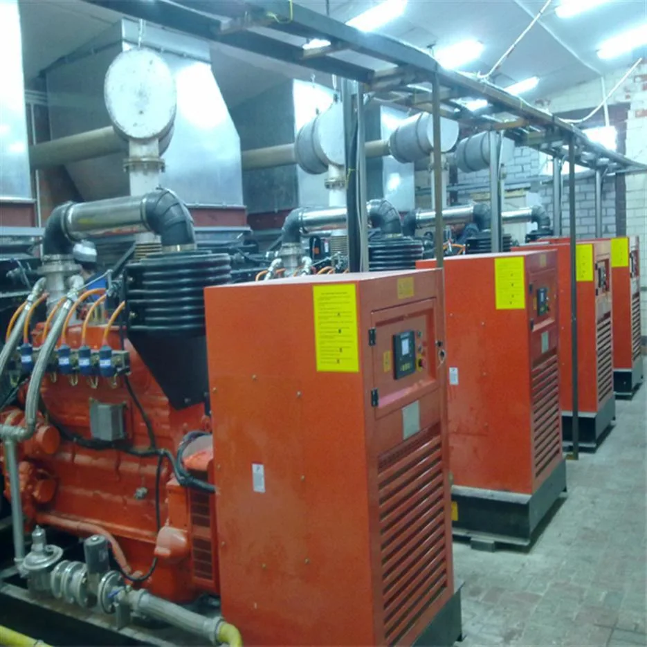 Natural Gas/Biogas Generator Set with Co-Generation Power Project