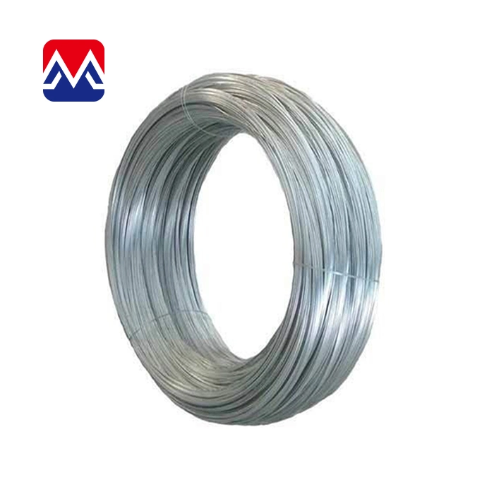 Factory Custom Shape Ss 304 Flat Stainless Steel Wire Shaped Wire for Sale