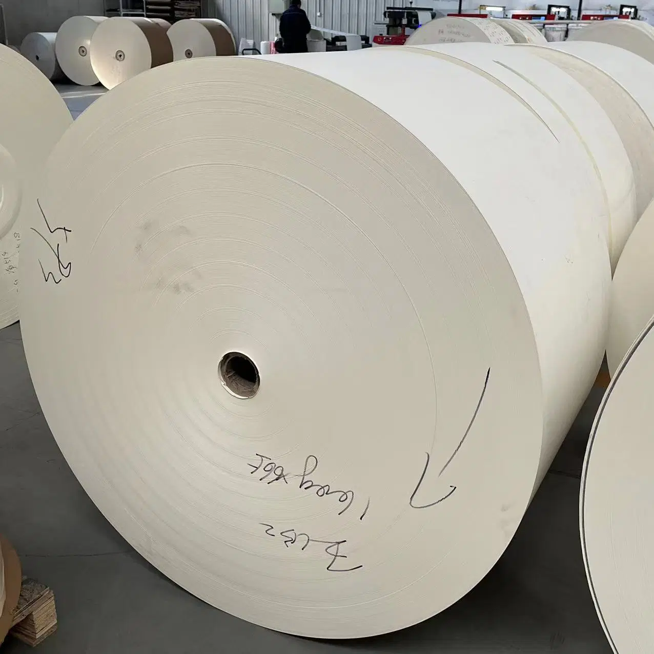 Eco Friendly Wholesale/Supplier Wood Pulp C1s PE Paper Material