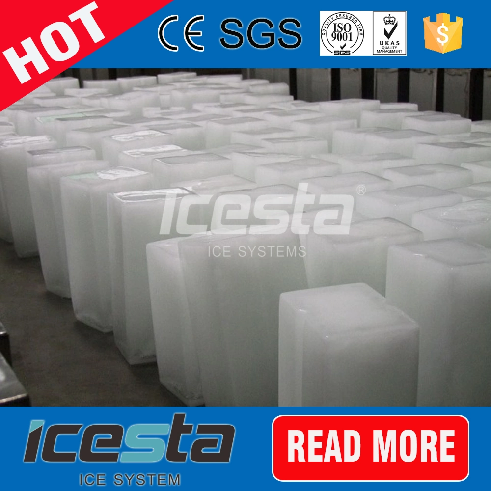 Industrial Icesta 30 toneladas de bloque de refrigeración directa la máquina de hielo