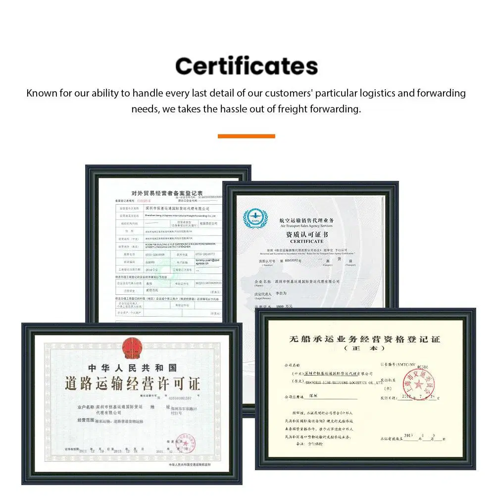 Professional and High-Quality Shenzhen Express to India Maritime Logistics Service Company