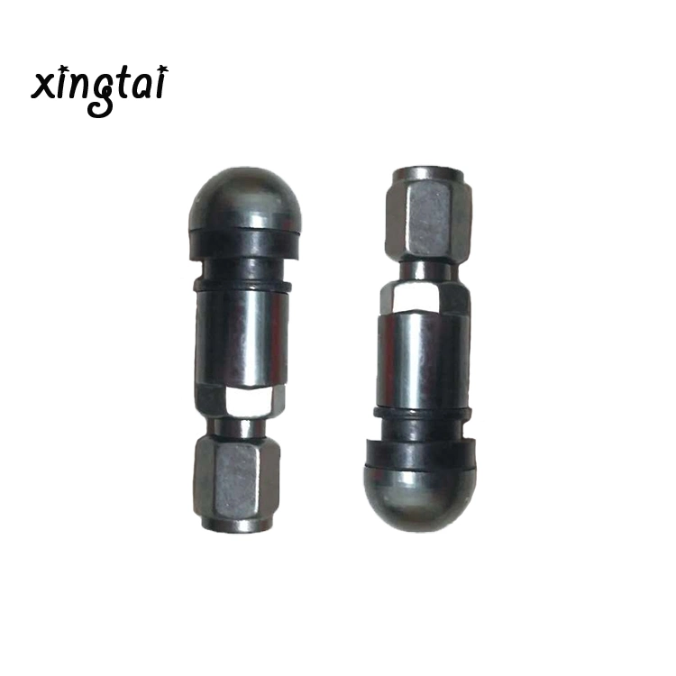 Hot Selling Metal Valve Vacuum Tire Use Nozzles Tire Valves