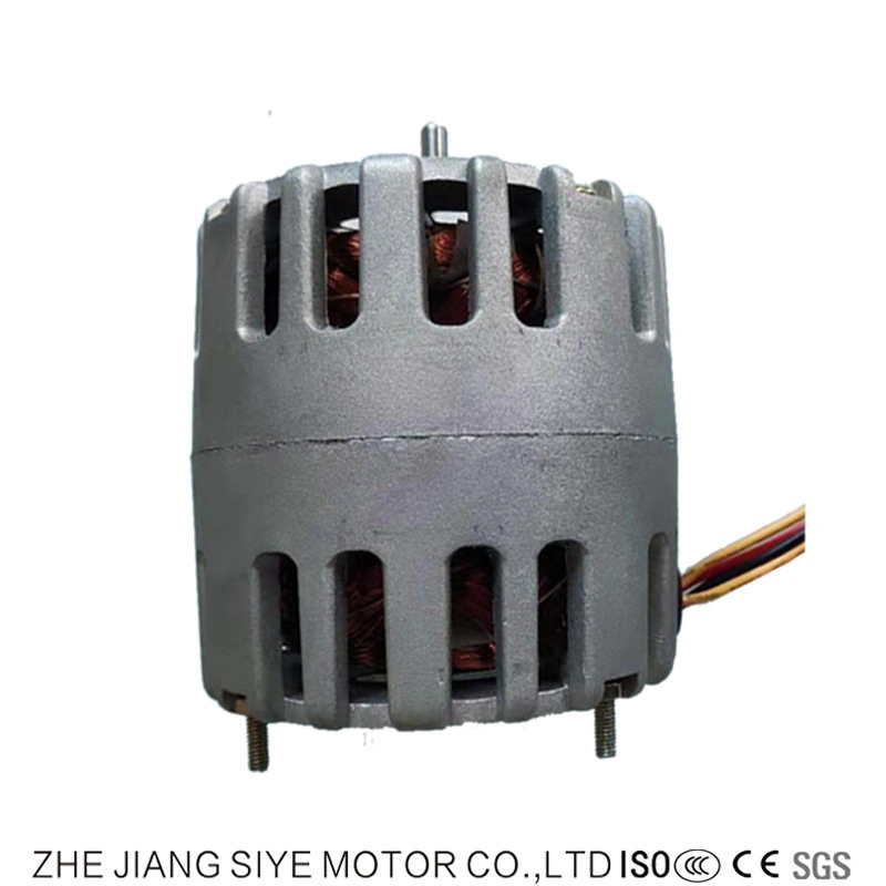 AC Single Phase Small Power Mini Motor