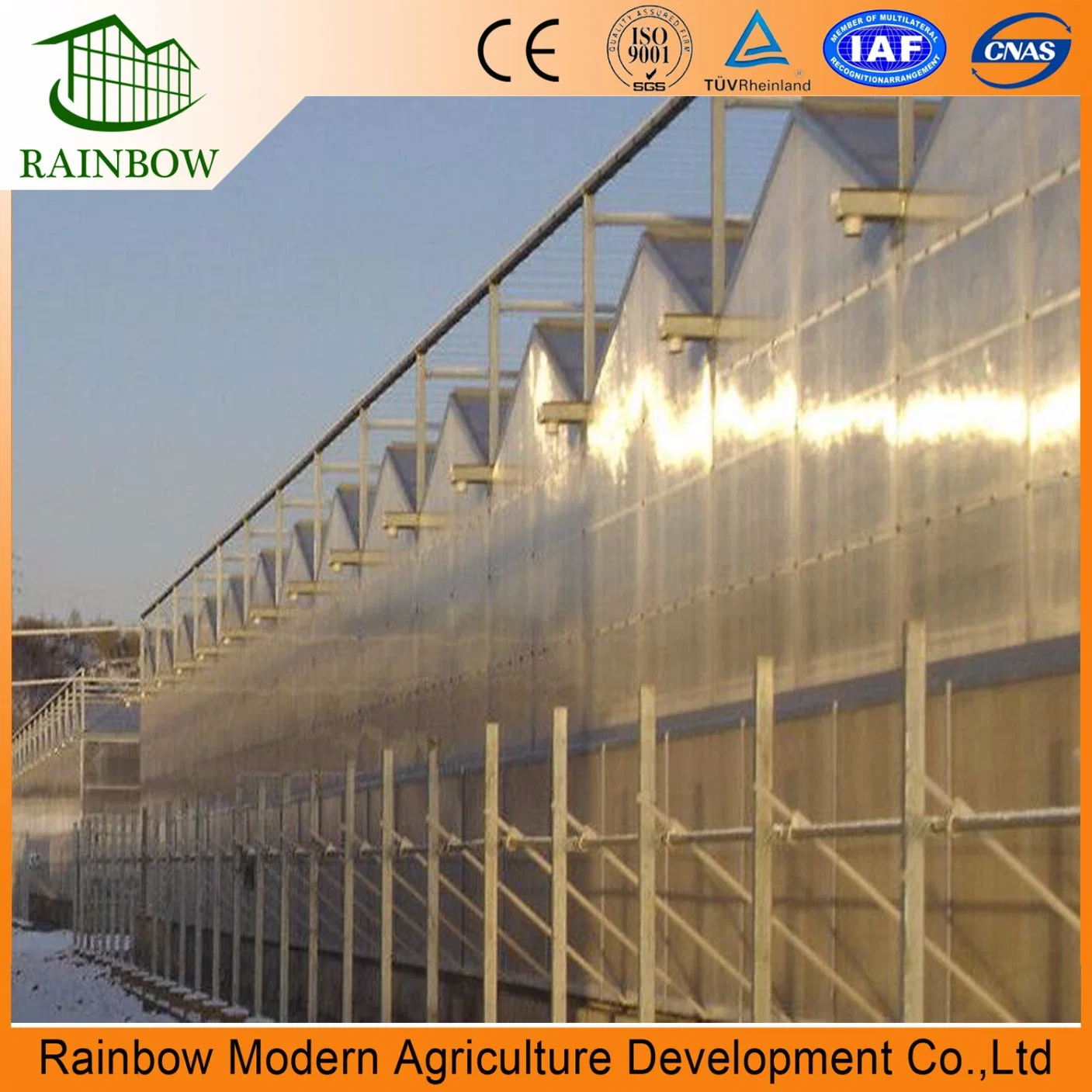 China 2019 New Design Polycarbonate Panels Greenhouses