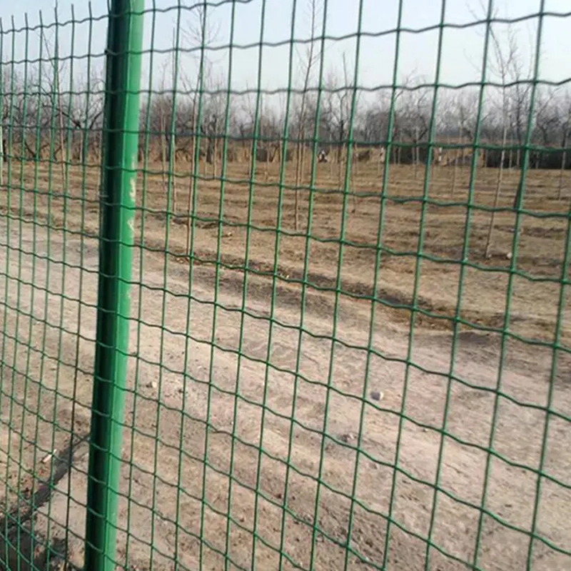 Alimentation directe en usine fil recouvert de PVC maillage Hollande Euro Fence Pour le bétail de chèvre de vache de grande ferme d'animaux de clôture
