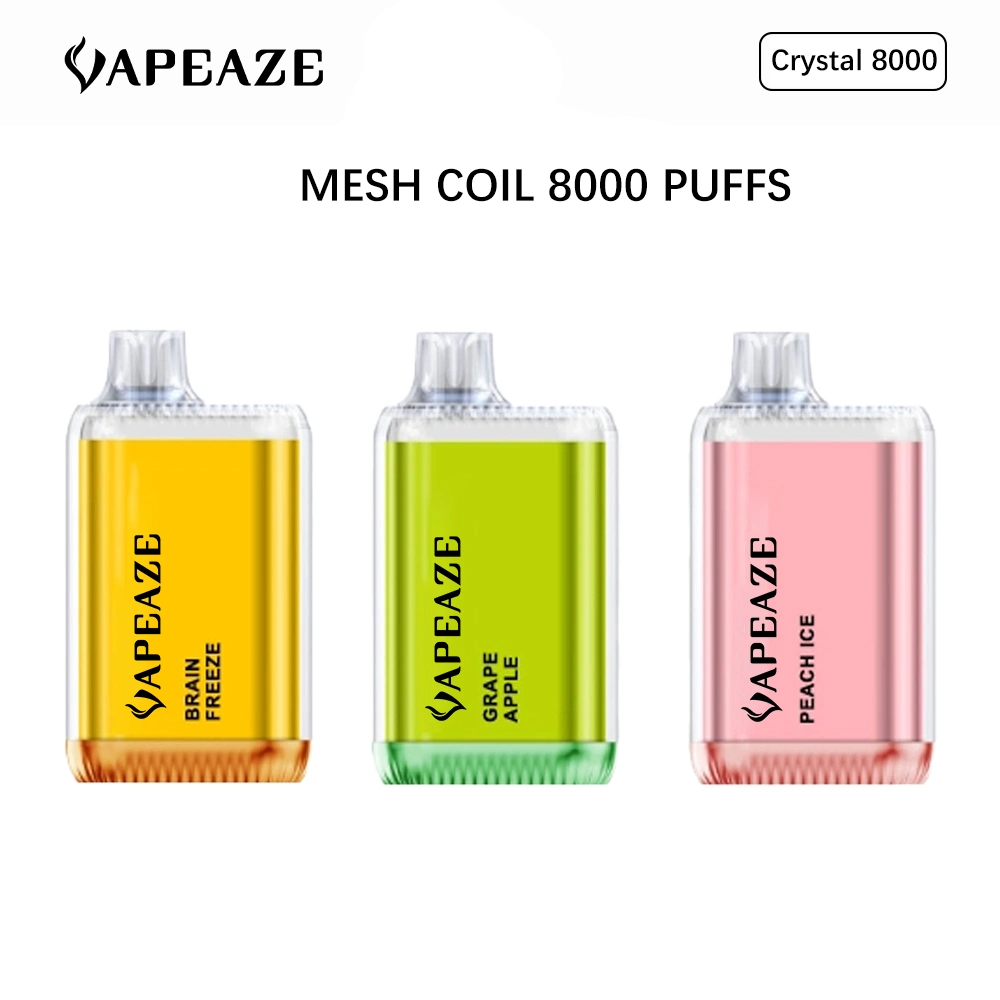 Disposable/Chargeable vape 8000 Puffs Salt Nicotine Attractive Flavors Wholesale/Supplier Manufacturer Price Disposable/Chargeable Vape Puff