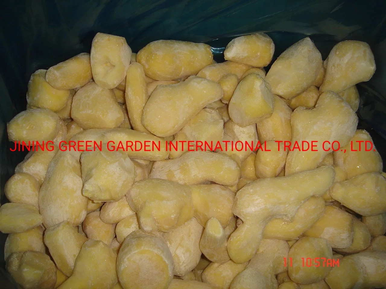 Wholesale Fresh Frozen Broccoli Cauliflower Lotus Root White Green White Cabbage Asparagus Fruit Mixed Vegetables Price From Factory Supplier